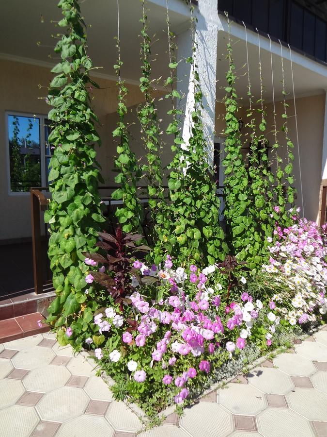 Hotel Solntse Abkhazii Lidzava 외부 사진